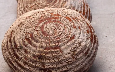 Calendario Talleres Pan Artesano – ENERO – MARZO 2026